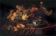 Jan  Fyt Fruit and a Parrot Spain oil painting reproduction